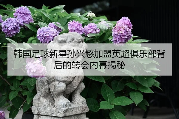 韩国足球新星孙兴慜加盟英超俱乐部背后的转会内幕揭秘